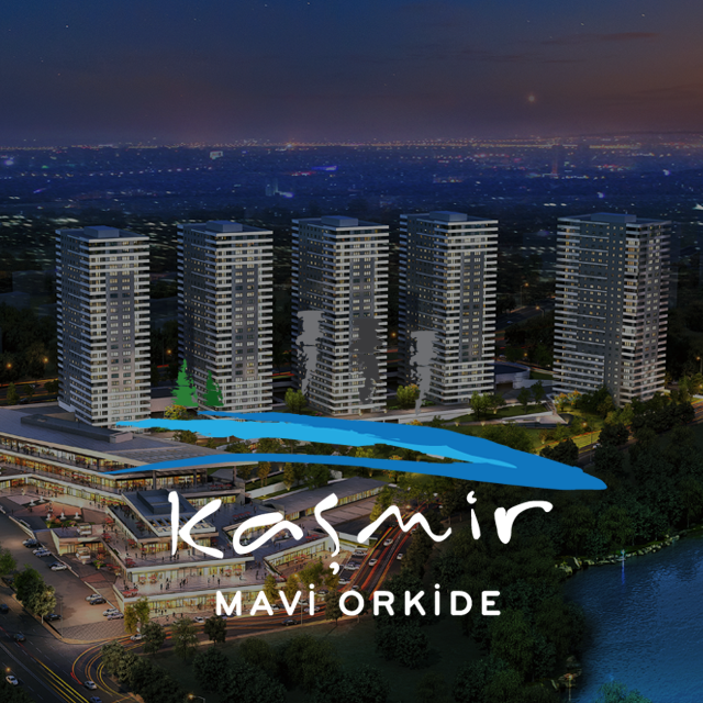 KAŞMİR MAVİ ORKİDE